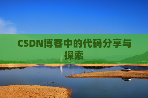 CSDN博客中的代码分享与探索
